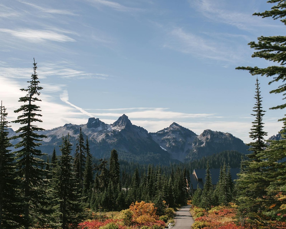 portrait of family standing together